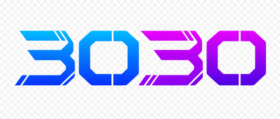 3030